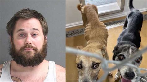 Florida man arrested for animal cruelty; dogs found without food in severe heat